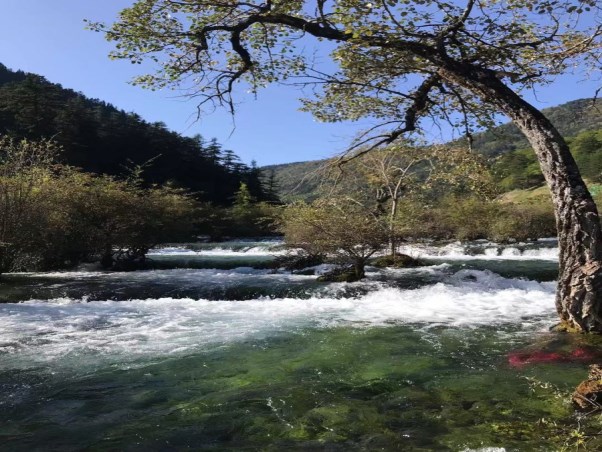 九寨沟