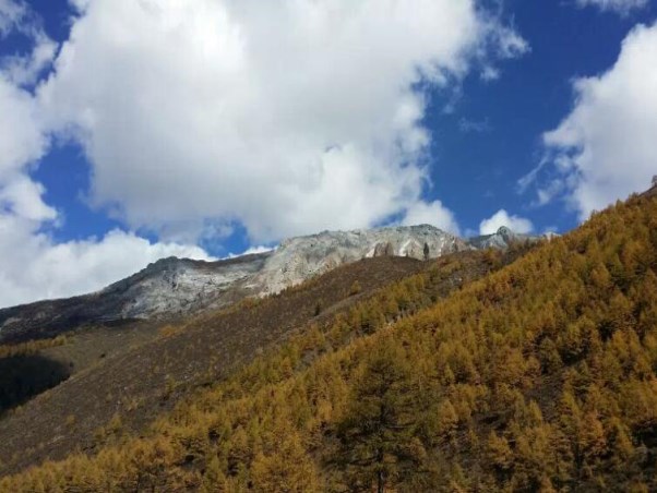 稻城亚丁旅游