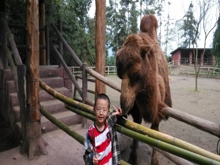 碧峰峡旅游