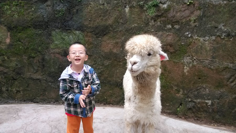 碧峰峡旅游