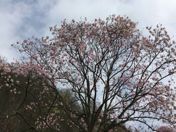 药王谷